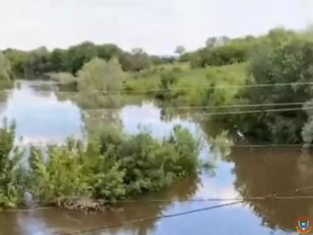 В Ростовской области в реке нашли авто с трупом мужчины в багажнике