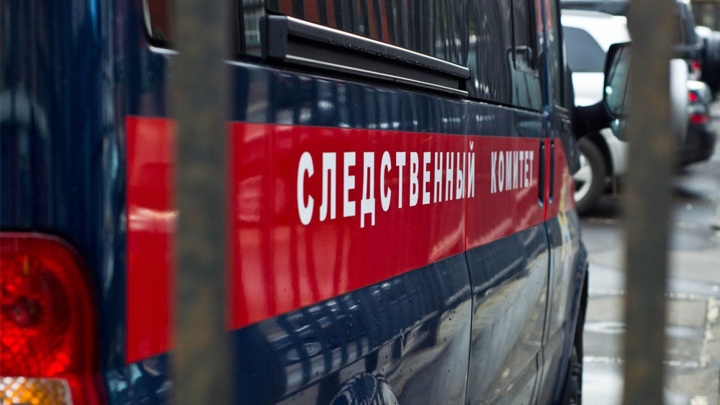 Под Новосибирском девочка, вернувшись из школы, обнаружила тела родителей