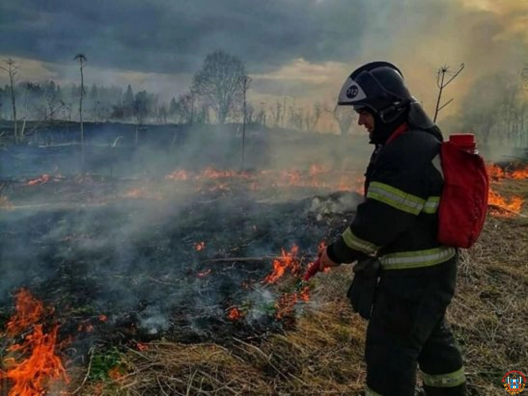 На Дону вновь объявили штормовое предупреждение из-за сильной пожароопасности