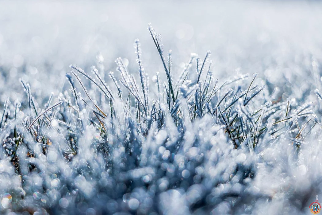 Прогноз погоды в Ростовской области на 15 января: сохранятся морозы, усиление ветра и снегопад