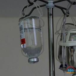 72 человека заразились лихорадкой Западного Нила в Ростовской области
