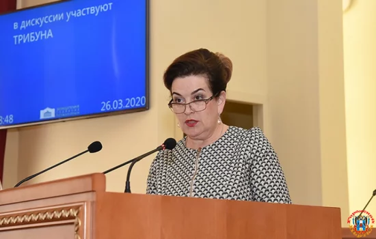 «Центр 100» активно хвалили донские депутаты, на суде по делу Татьяны Быковской