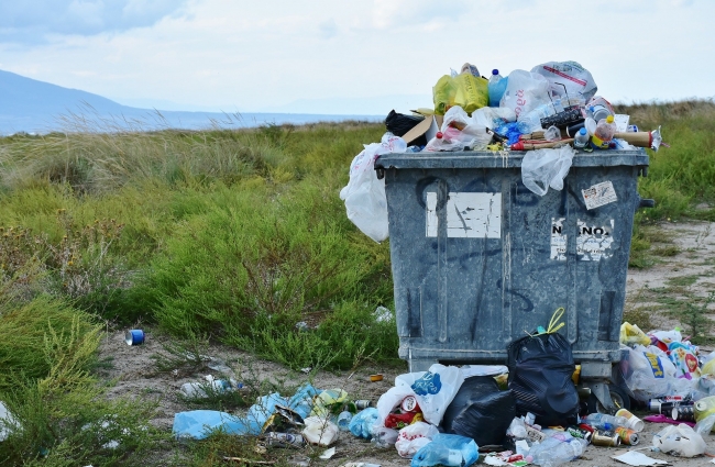 В Ростовской области повысят тарифы на вывоз мусора