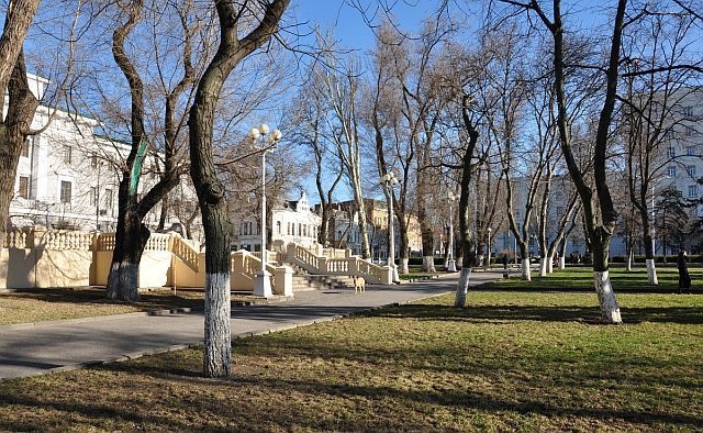 В первую неделю весны в Ростовской области воздух прогреется до +22 °С