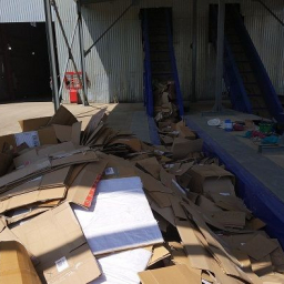 Ростов оказался на грани экологической катастрофы