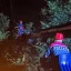 Ураган на Дону: более 100 бригад энергетиков восстанавливают электроснабжение