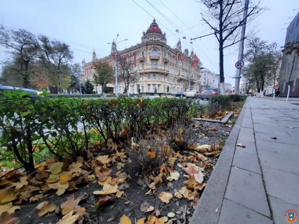 В центре Ростова так и не заменили засохшую лаванду