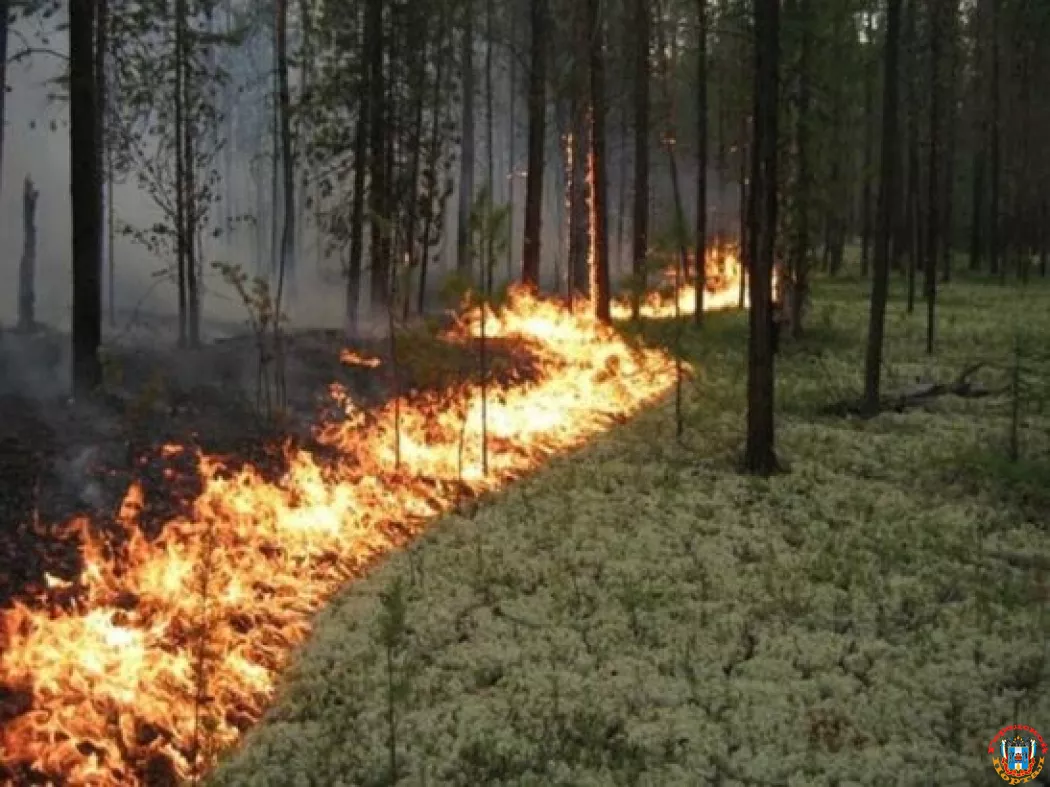 В Ростовской области предупредили о чрезвычайной пожароопасности
