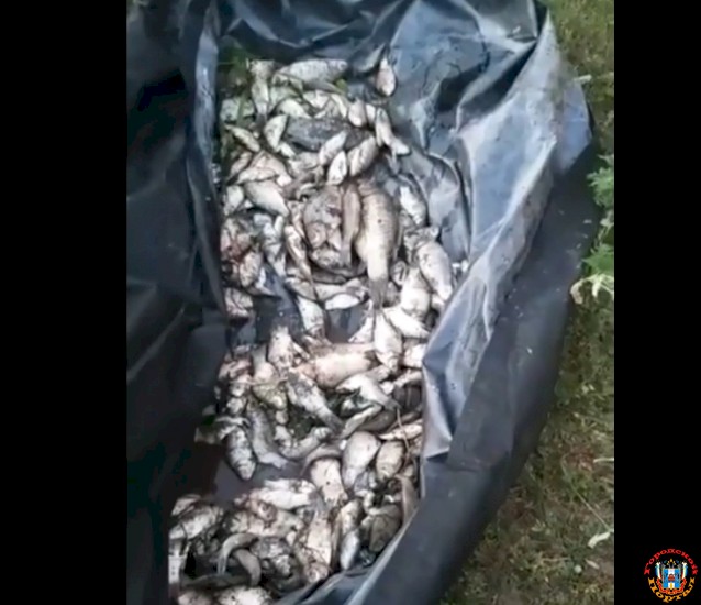 В Ростове в реке Темерник массово погибла рыба