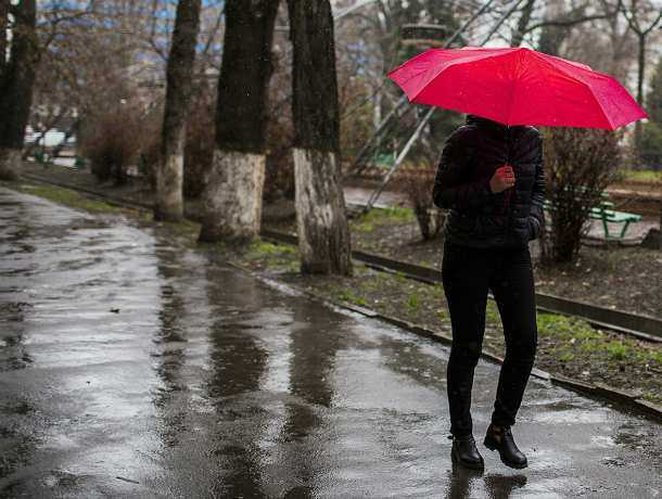 Проливные дожди и освежающий порывистый ветер подпортят пятницу жителям Ростова