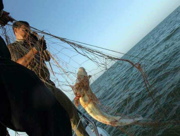 Убегая от погони на лодке, отчаянный рыбак проломил румпелем голову полицейскому в Ростове