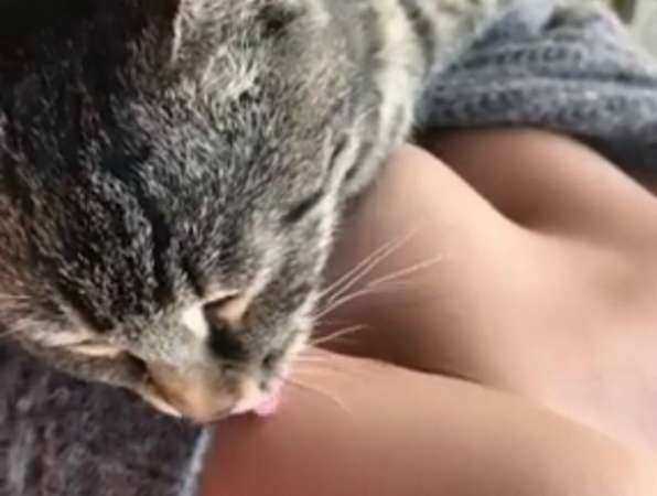 Вылизанная ростовская звезда "Playboy" рассказала о райском наслаждении своей киски