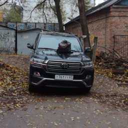 Мгновенная карма в виде мешка с мусором настигла «неразумно припарковавшийся» внедорожник в Ростове