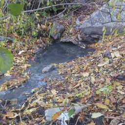 Выброс вонючей разноцветной массы в Дон обнаружили жители Ростова