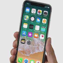 Три месяца голодать придется среднестатистическому ростовчанину ради iPhone Х