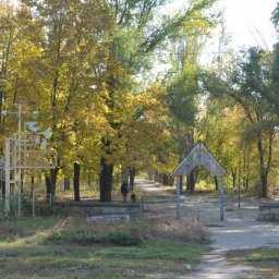 В обновленном парке Новочеркасска появится свадебный маршрут