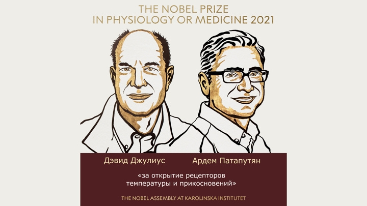 Все градусы чувств: в чем суть открытия нобелевских лауреатов по физиологии
