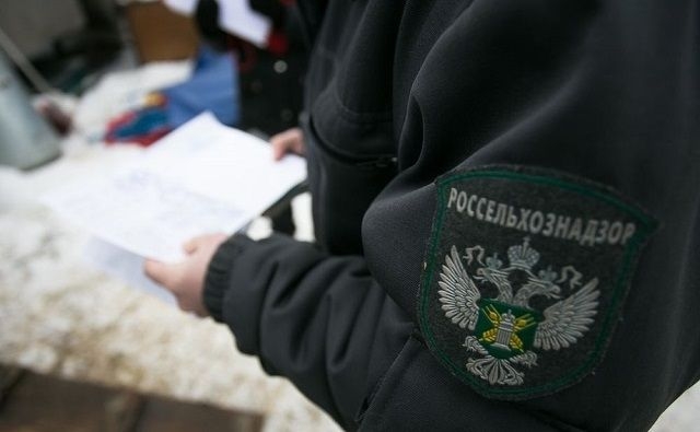 Чиновников Россельхознадзора по Ростовской области наказали на антикоррупционные нарушения