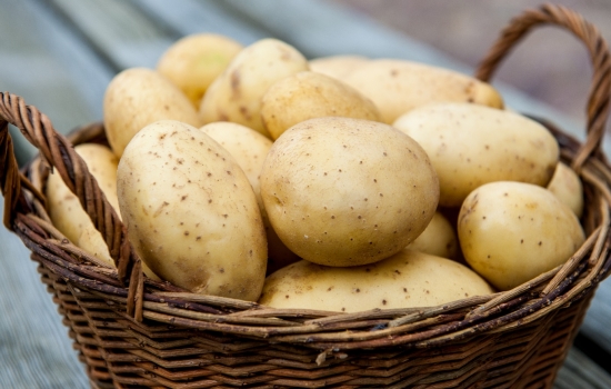 Фермеры спрогнозировали падение цен на картофель в Ростовской области