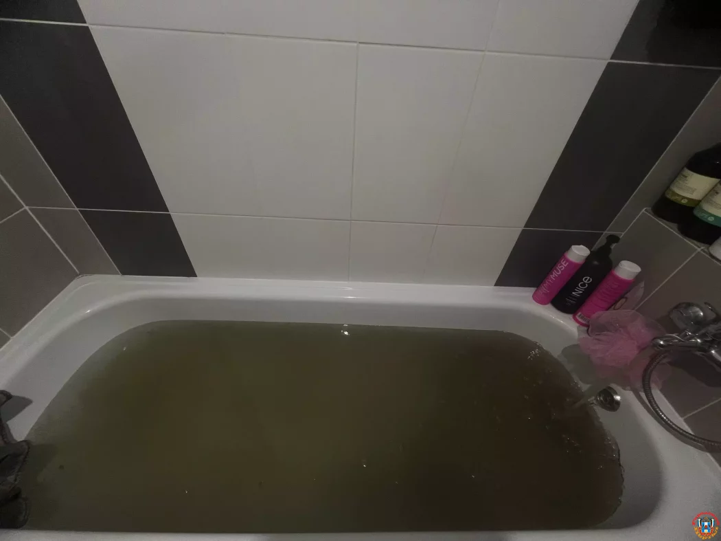 «Болотная» Левенцовка: жители западного микрорайона Ростова в шоке от хлынувшей из кранов зелени «Болотная» Левенцовка: жители западного микрорайона Ростова в шоке от хлынувшей из кранов зелени