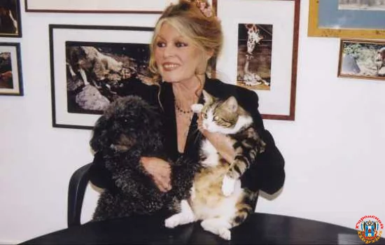 Бриджит Бардо против Эммануэля Макрона