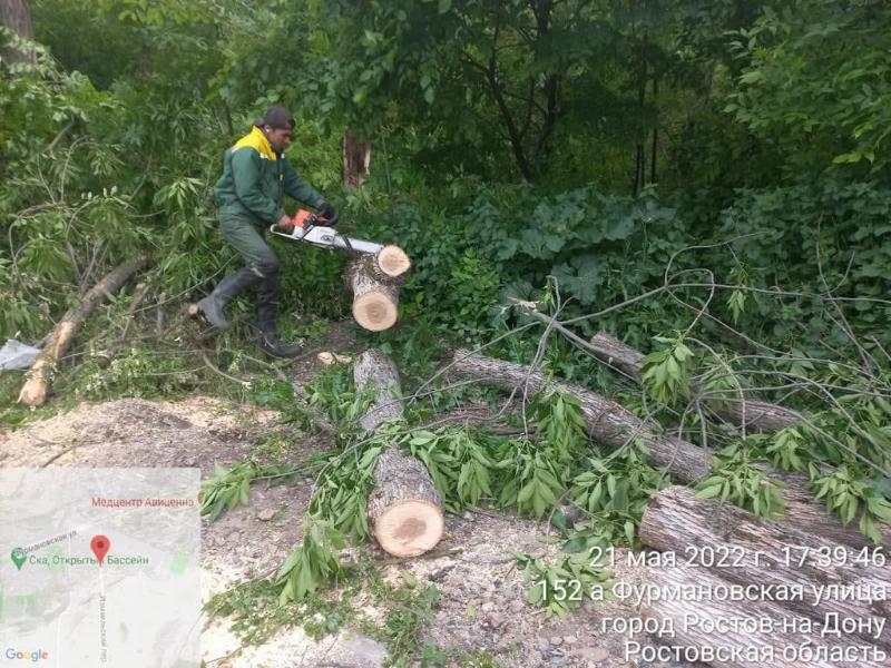 В Ростове-на-Дону из-за сильного ветра упали 50 деревьев и крупных веток