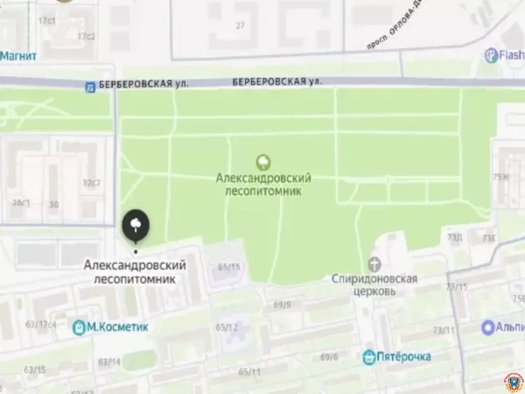 &laquo;Лес &mdash; не парковка&raquo;: ростовчане требуют изгнать автомобилистов из Александровской рощи