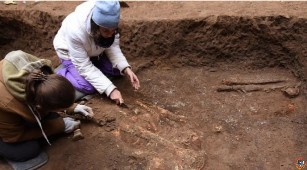 В Ростовской области археологи обнаружили необычное захоронение знатного скифа