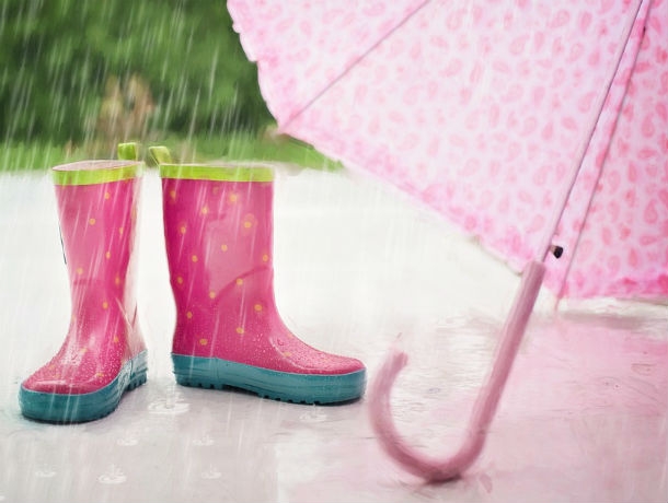 Дождливый день: какая погода ждет ростовчан в воскресенье, 3 мая
