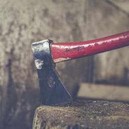 В Ростовской области осудили дончанина, который топором разрубил голову знакомому