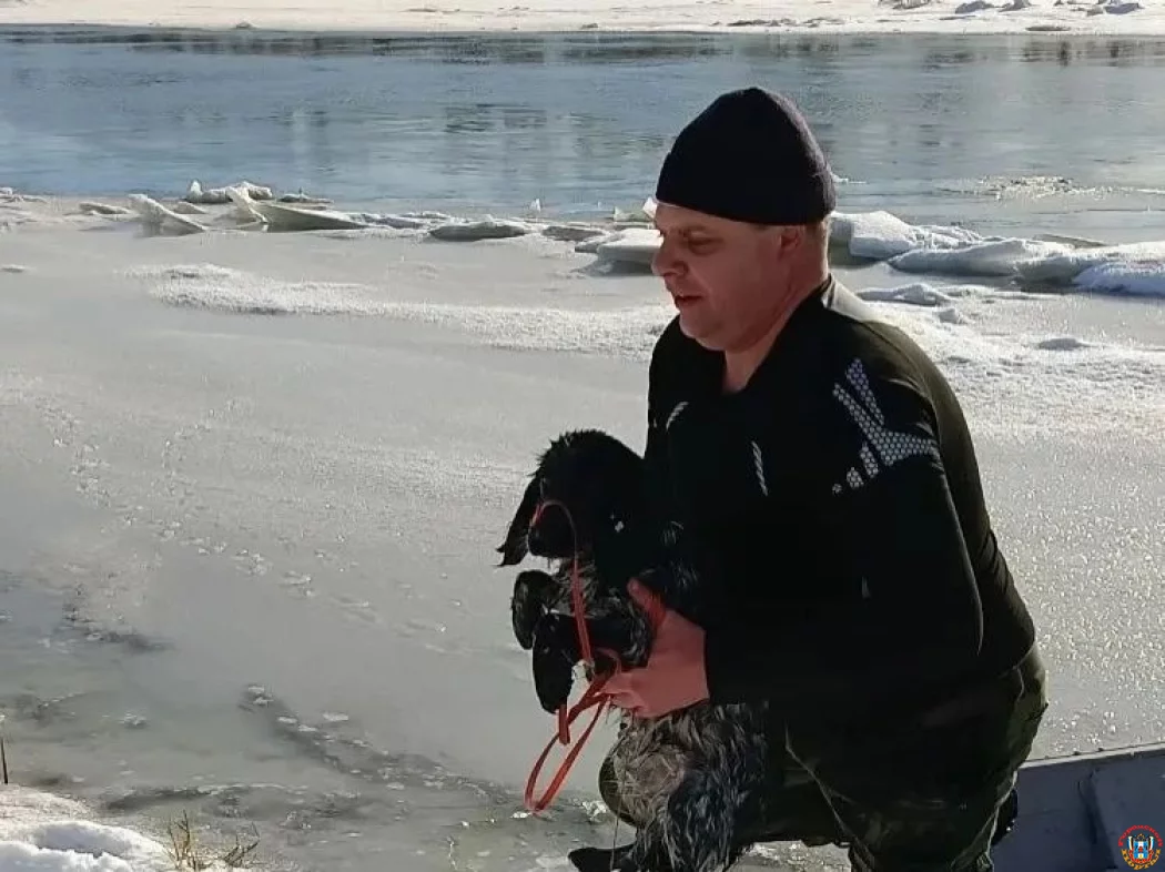 Из ледяной полыньи в Ростовской области спасатели вызволили спаниеля