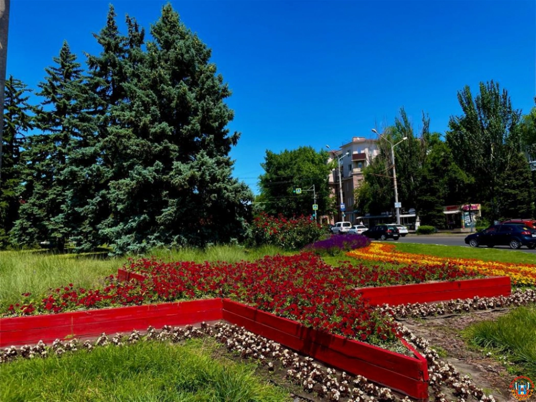 В Ростове высадили 864 тысячи цветов и 2 тысячи деревьев