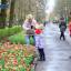 Ростов в цвету: на Театральной площади донской столицы распустились тюльпаны 1