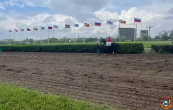 Назначения земель «Ипподрома Ростовский» планирует оспорить минимущества