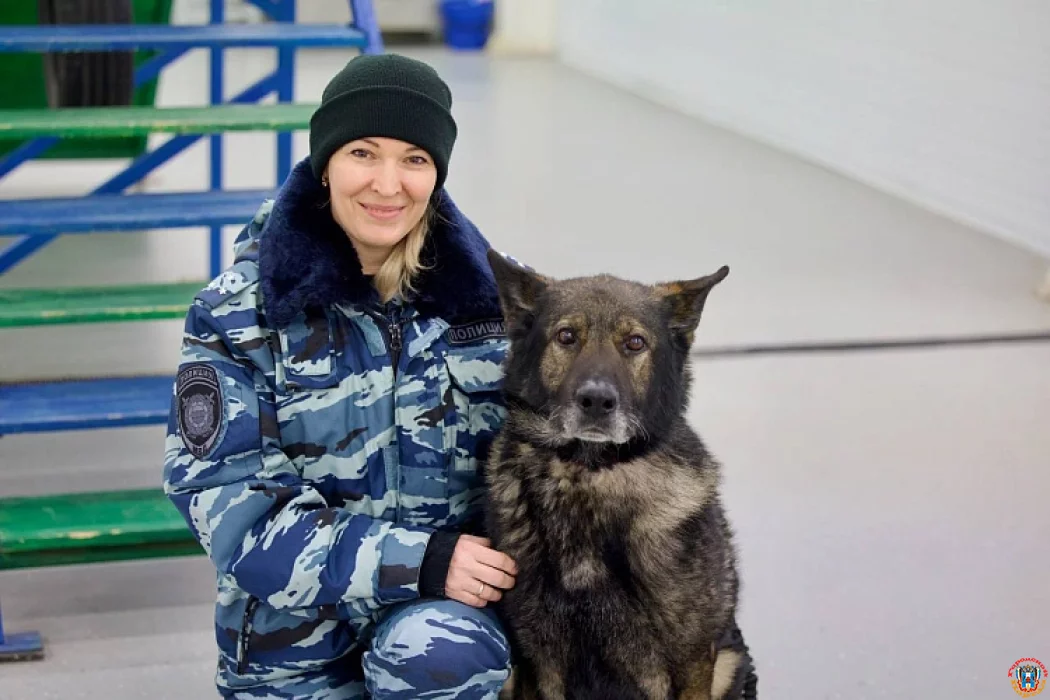 Отработал на &laquo;отлично&raquo;: в Ростове торжественно проводили на пенсию служебного пса Вегаса