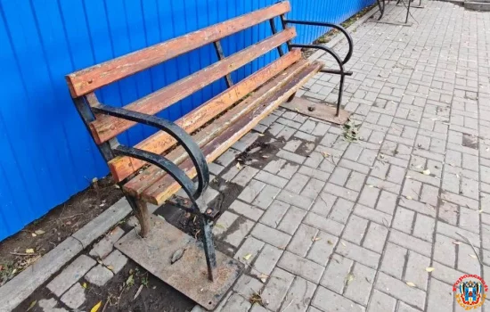 Ростовчане недовольны ремонтом в сквере Седова