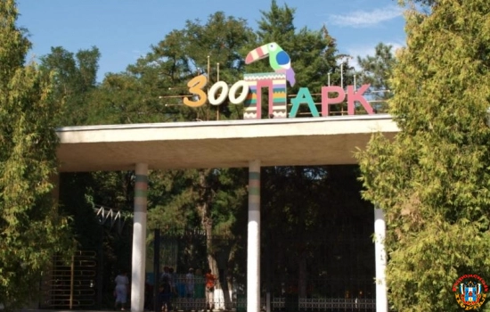 Ростовский зоопарк временно возглавила замглавы управления культуры