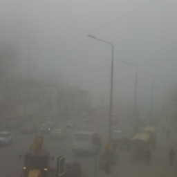 Возможны туман и гололедица: на Дону прогнозируют резкое ухудшение погоды