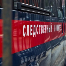 Мать найденных на свалке детей до родов не знала о беременности