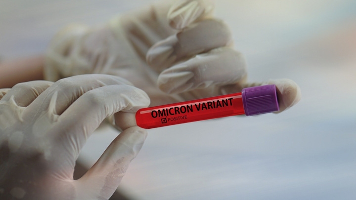 Выявлены антитела, способные нейтрализовать "омикрон"