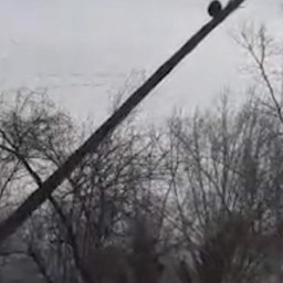 Из-за шквалистого ветра 54 населенных пункта Забайкалья лишились электроснабжения