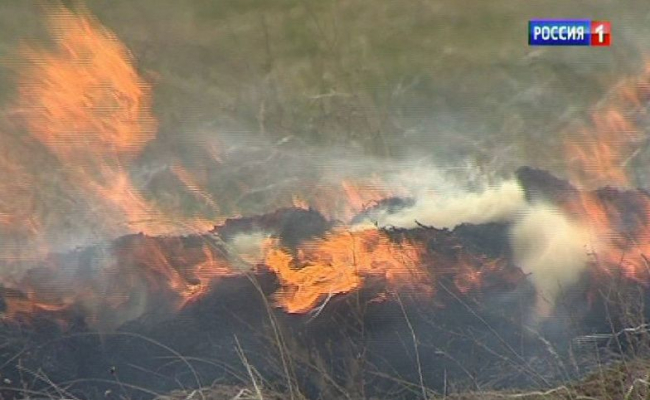 В Песчанокопском районе предприятие оштрафовали за выжигание сухой растительности