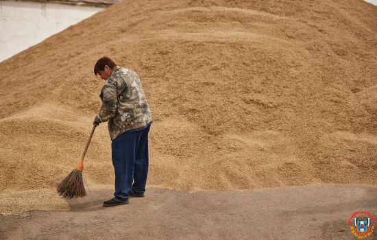 Донской фермер обвинил агрохолдинги в присваивании зерна