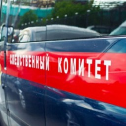 В Ярославле на девочку в лифте напал педофил