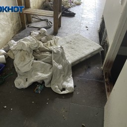Перед трагедией выбросила все вещи на мусорку: стали известны подробности смерти 32-летней женщины и ее годовалой дочери в центре Ростова