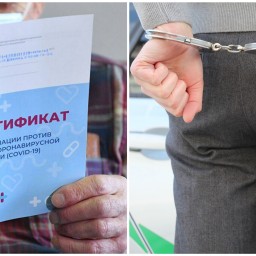 Жителя Ростова задержали за подделку сертификатов вакцинации от коронавируса