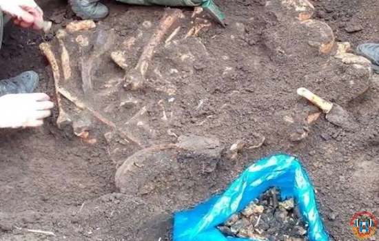 Археологи в Ростовской области обнаружили новые захоронения погибших во время ВОВ солдат