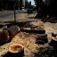 Ростовчане жалуются на начавшуюся вырубку деревьев в центре города 2