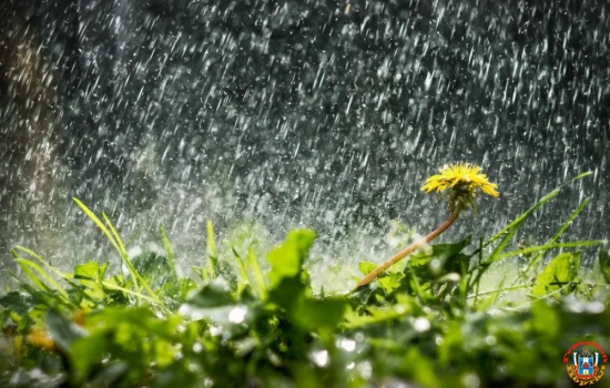 В первый день лета в Ростове-на-Дону ожидается дождь с грозой