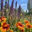 В Ростове высадили 864 тысячи цветов и 2 тысячи деревьев 0